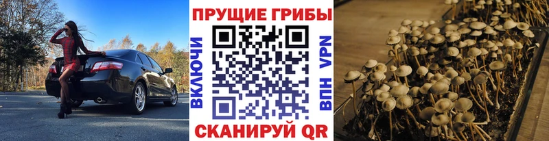 Псилоцибиновые грибы Magic Shrooms  Кукмор 