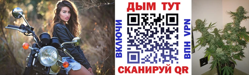 Шишки марихуана VHQ  сколько стоит  Кукмор 